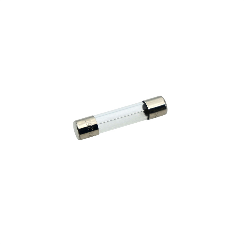51804.00019 21810010 保险丝 10A φ6×30mm 24V  