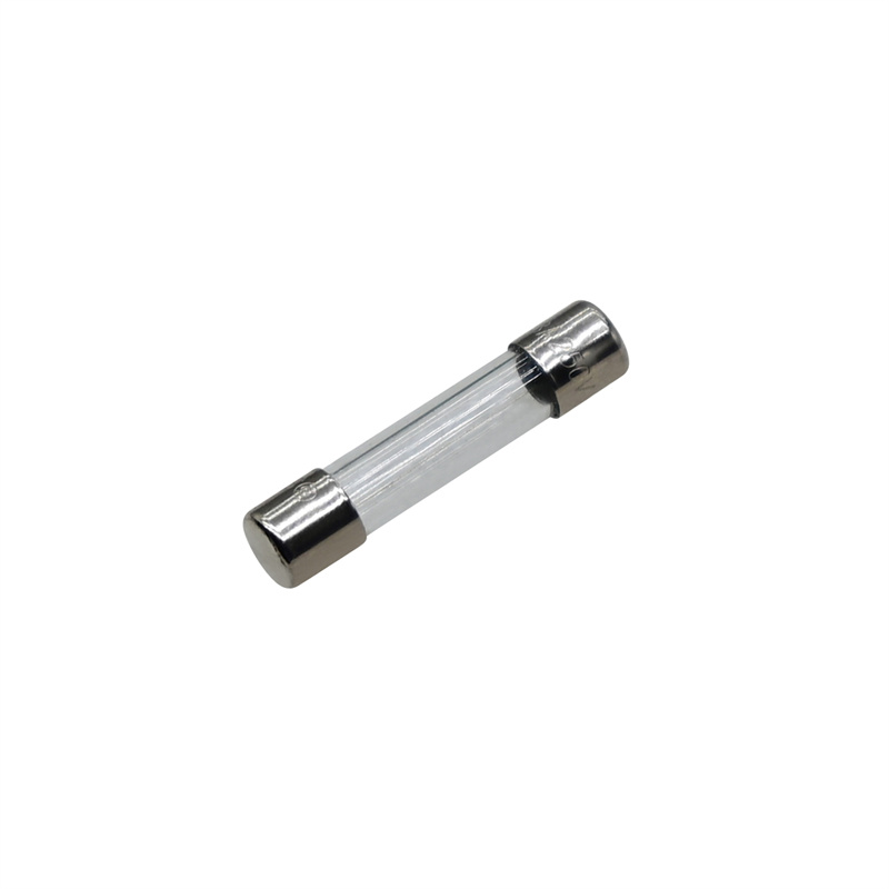 51804.00002 21810091 保险丝 3A φ6×30mm 24V