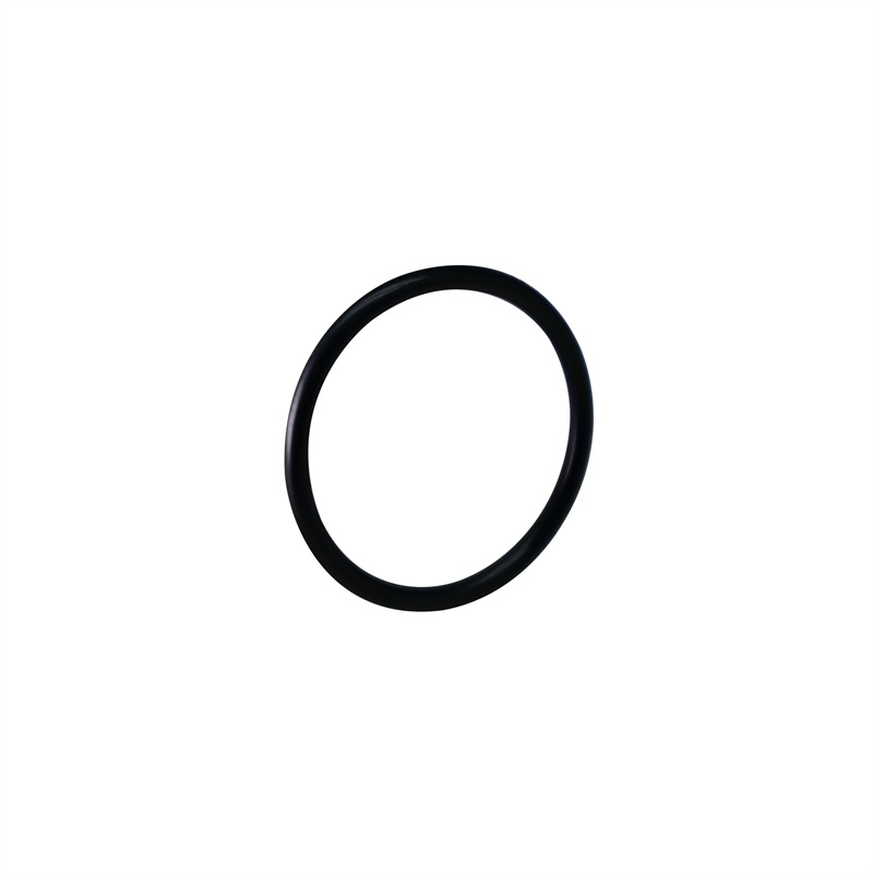 41902.00085 U5000041 O型圈 内径φ25×2mm